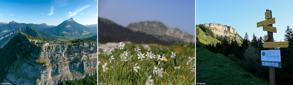 bandeau-5-long-hiking-trails-chartreuse