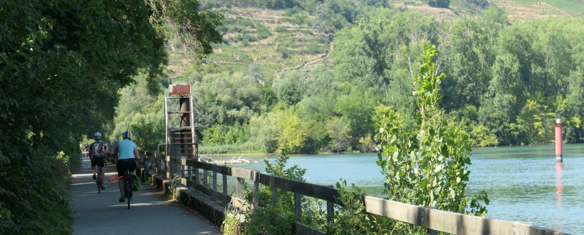 Through orchards and heritage sites along the banks of the Rhône