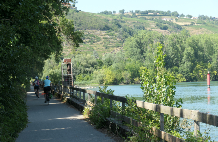 Through orchards and heritage sites along the banks of the Rhône