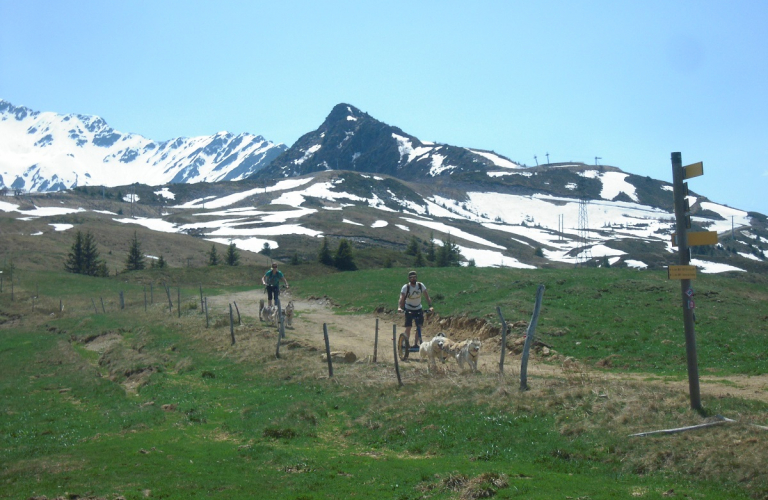 Mushing in the Haut Bréda valley and in Le Pleynet