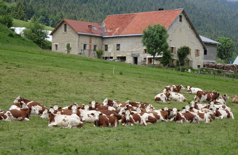 Gîte Le Tramin