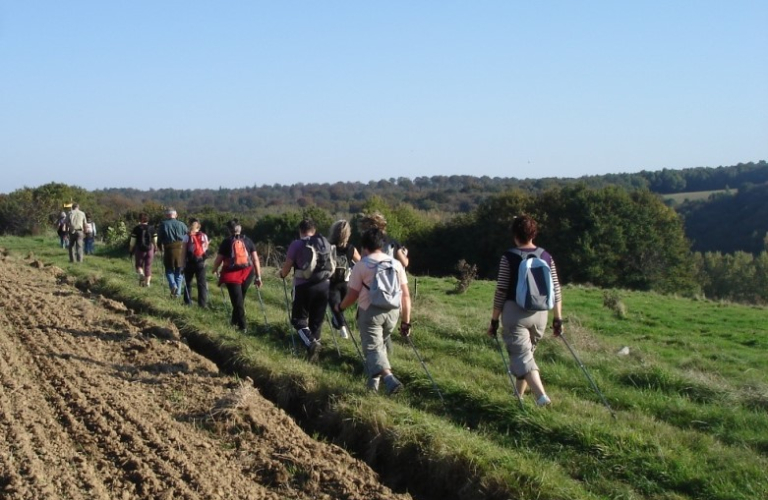 Nordic&#039;s walk with Terludik