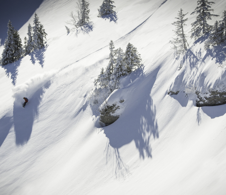 Freeride and ski touring